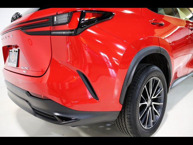 2022 Lexus NX 250