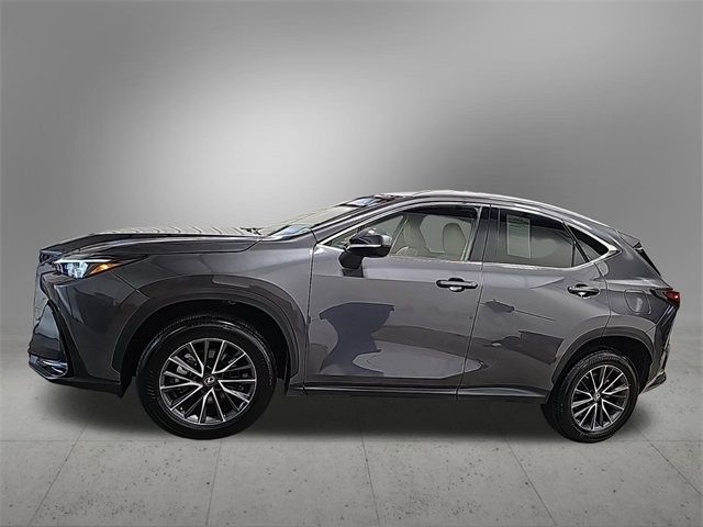 2022 Lexus NX 250