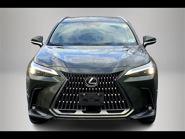 2022 Lexus NX 250