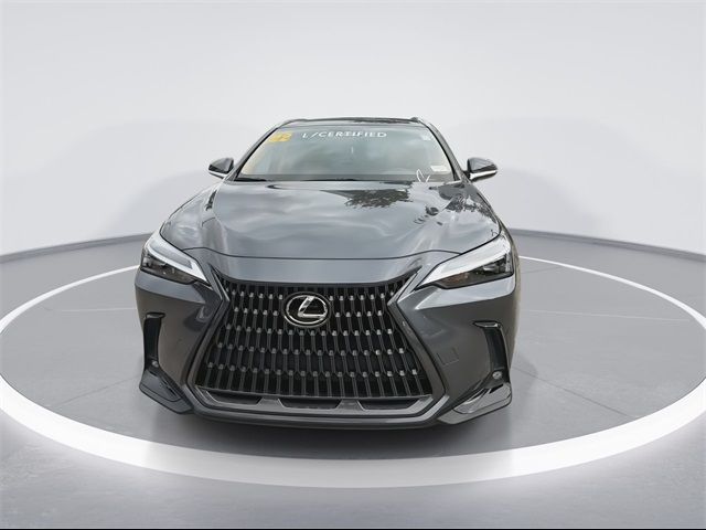 2022 Lexus NX 250