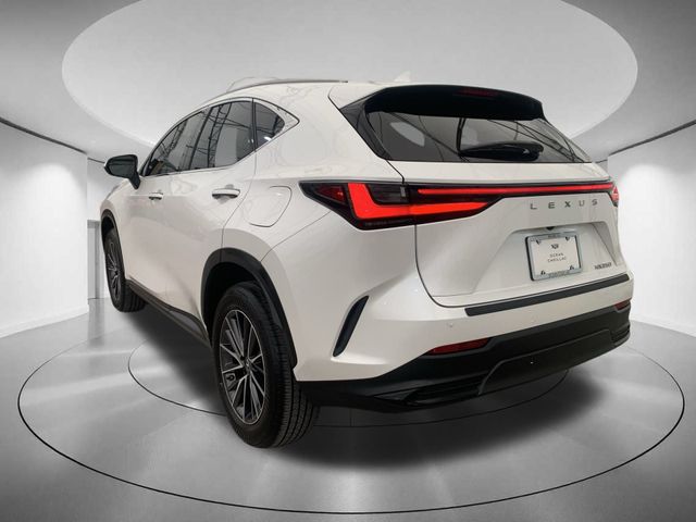 2022 Lexus NX 250