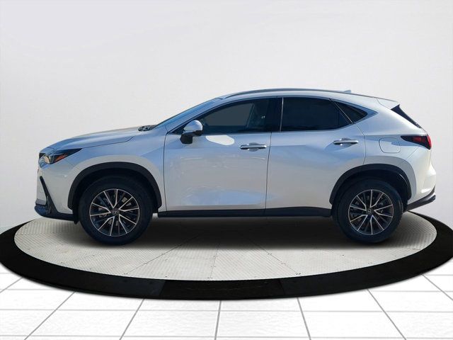 2022 Lexus NX 250