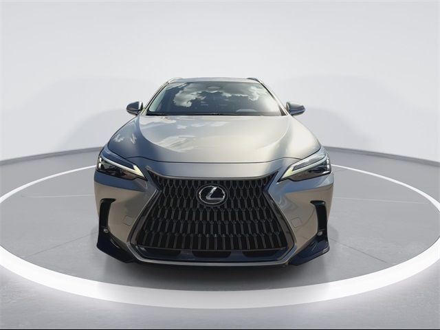 2022 Lexus NX 250