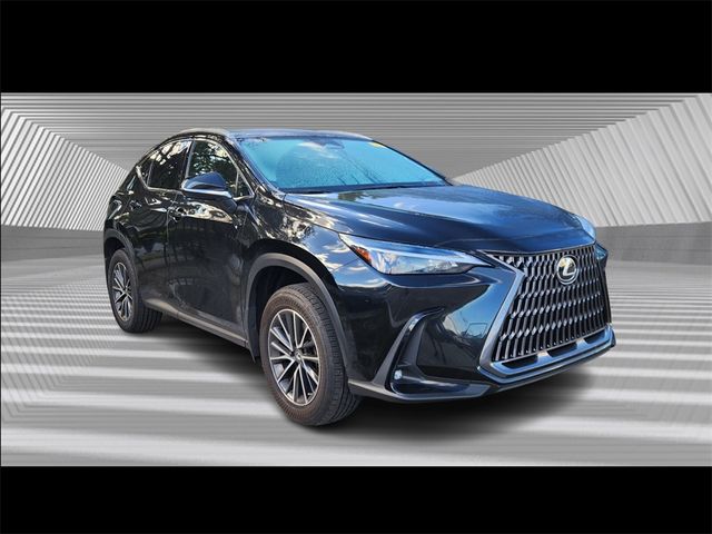 2022 Lexus NX 250