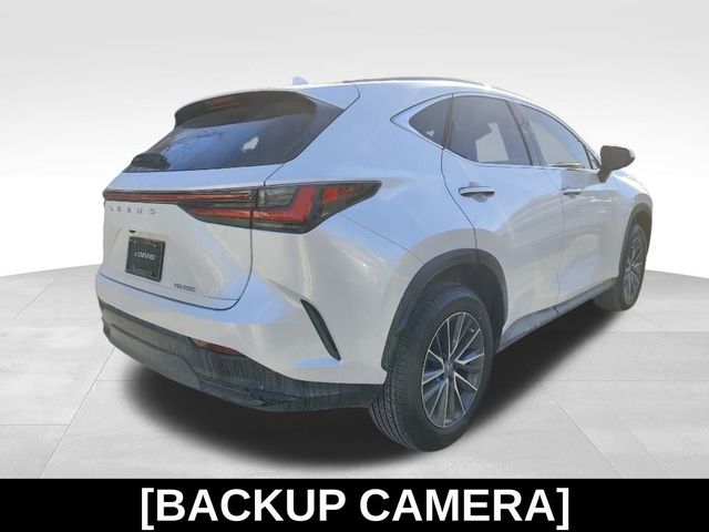 2022 Lexus NX 250