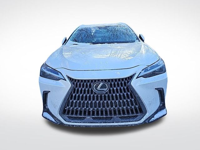 2022 Lexus NX 250