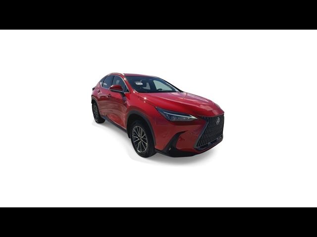 2022 Lexus NX 250