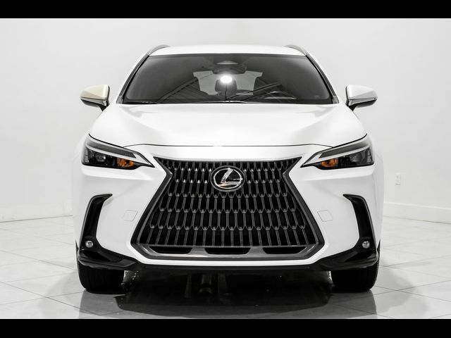 2022 Lexus NX 250