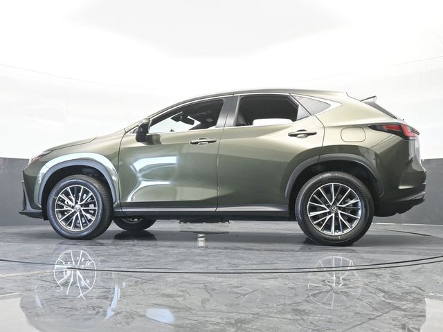 2022 Lexus NX 250