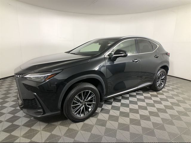 2022 Lexus NX 250