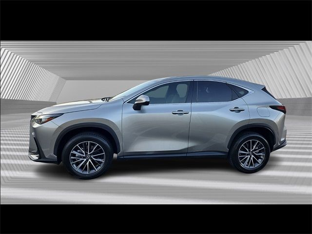 2022 Lexus NX 250