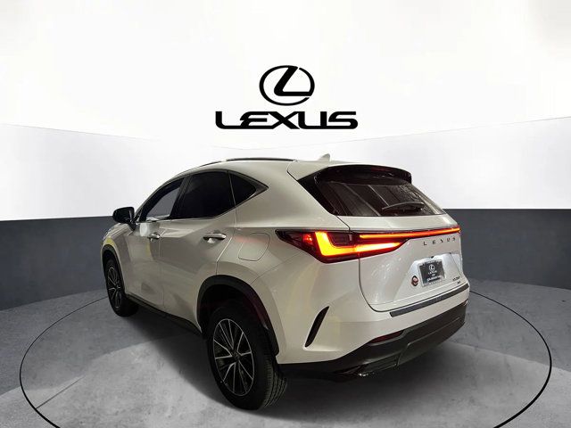 2022 Lexus NX 250