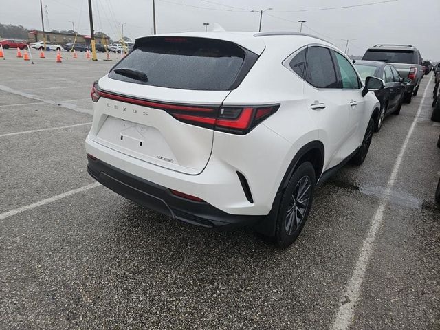 2022 Lexus NX 250