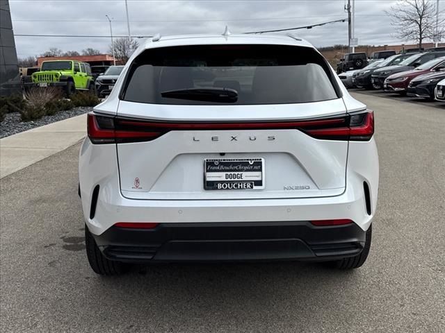 2022 Lexus NX 250 Premium