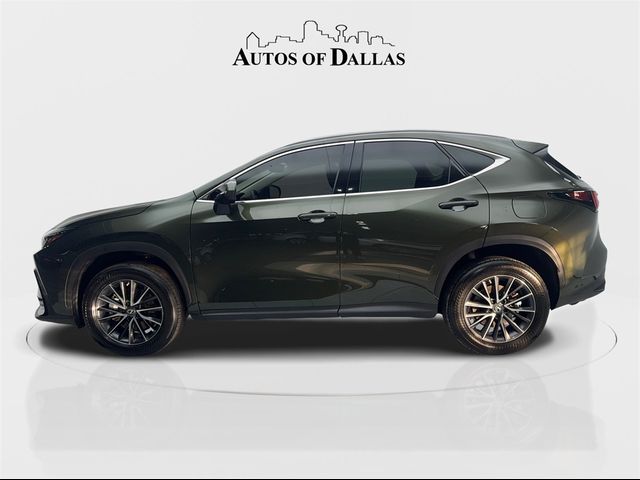 2022 Lexus NX 250 Premium