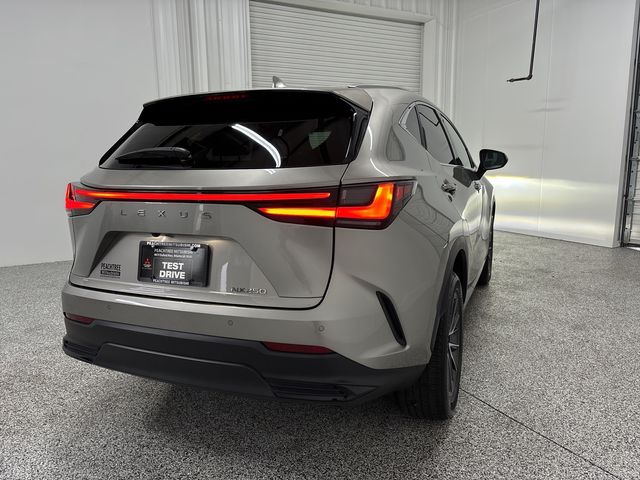 2022 Lexus NX 250 Premium