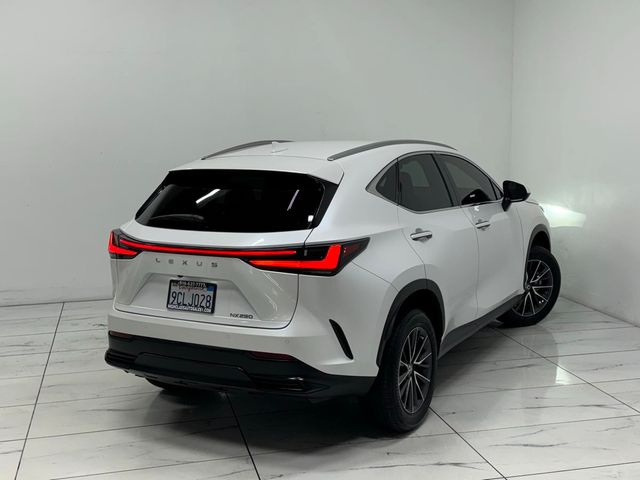 2022 Lexus NX 250 Premium