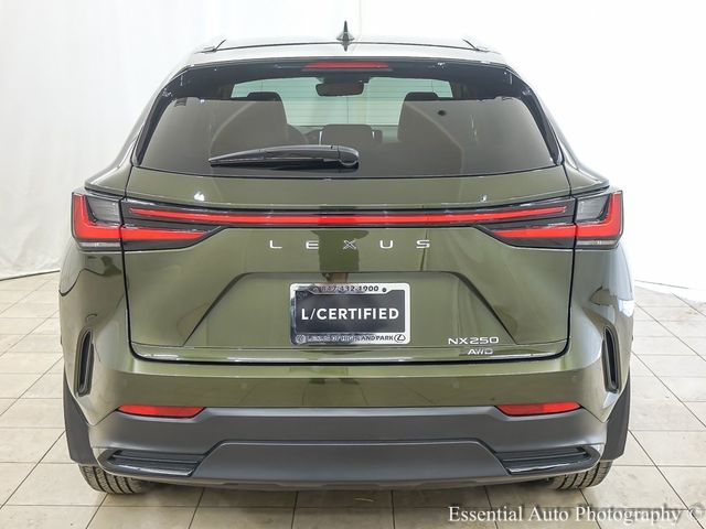 2022 Lexus NX 250 Premium