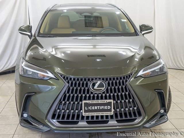 2022 Lexus NX 250 Premium