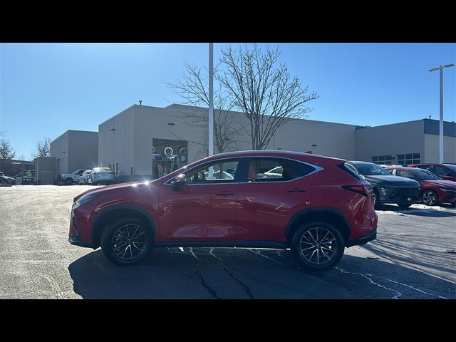 2022 Lexus NX 250 Premium