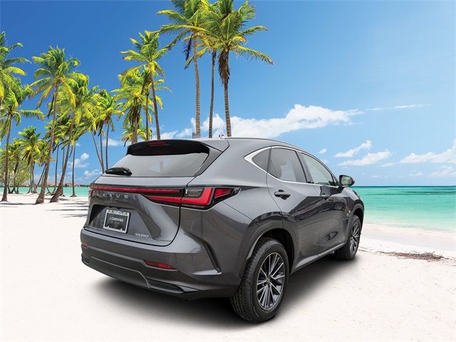 2022 Lexus NX 250 Premium