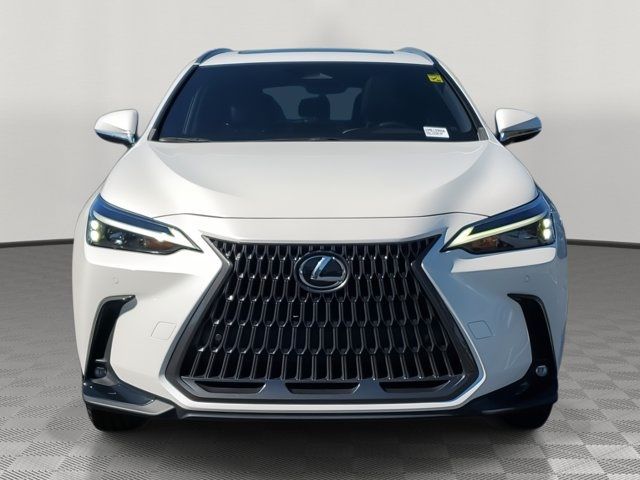 2022 Lexus NX 250 Premium