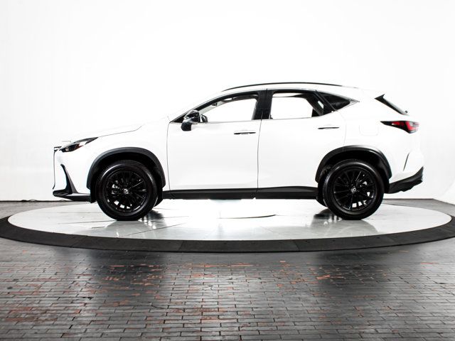 2022 Lexus NX 250 Premium