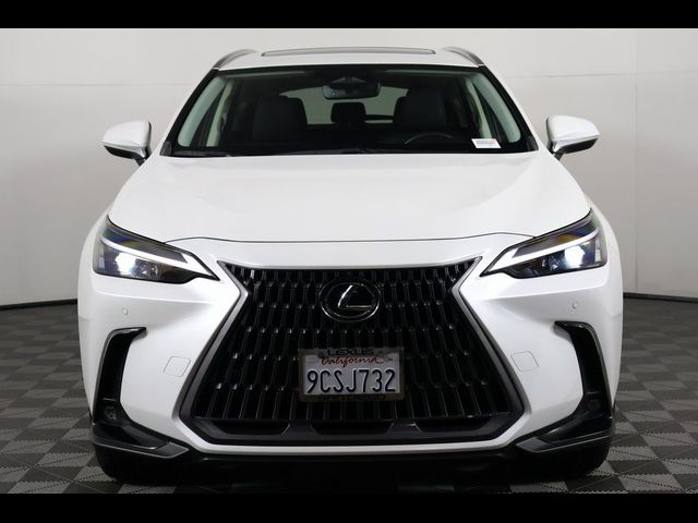 2022 Lexus NX 250 Premium