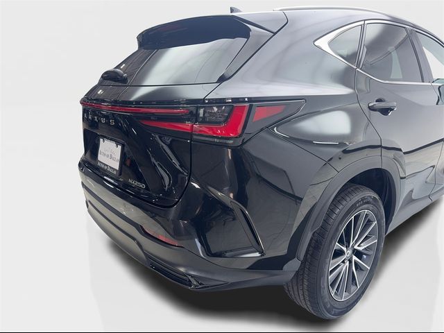 2022 Lexus NX 250 Premium