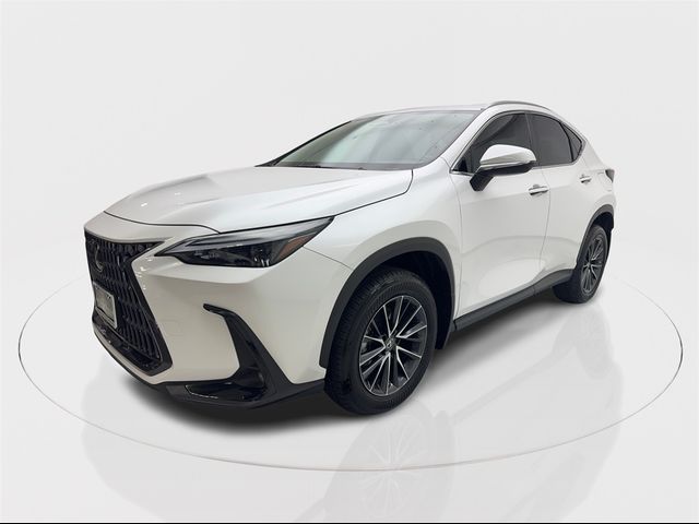 2022 Lexus NX 350