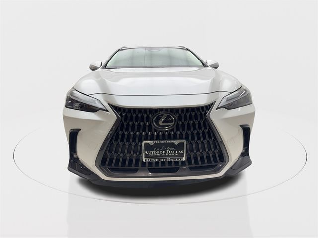 2022 Lexus NX 350