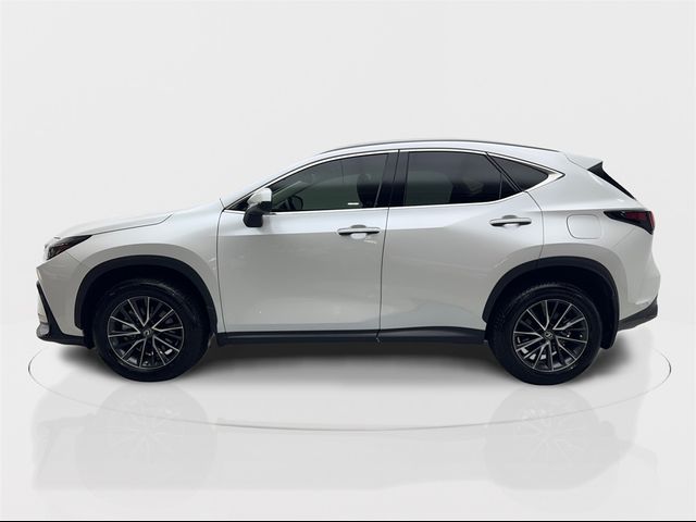 2022 Lexus NX 350