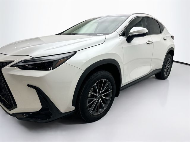 2022 Lexus NX 350