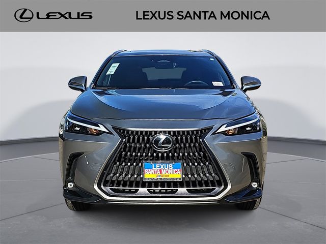 2022 Lexus NX 350