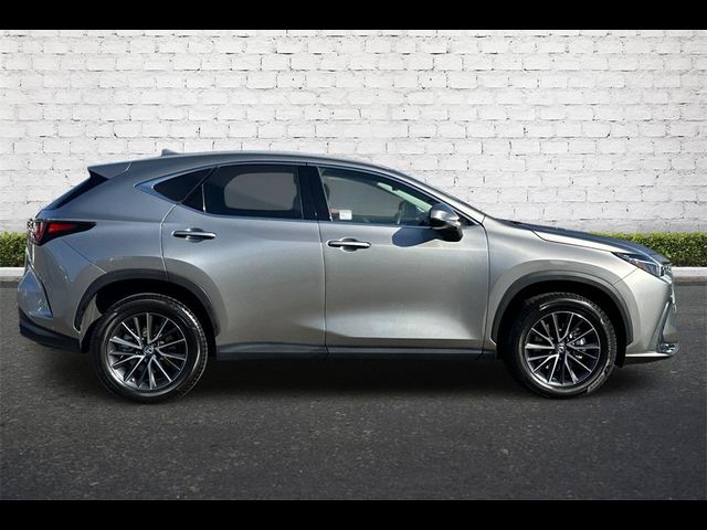 2022 Lexus NX 350