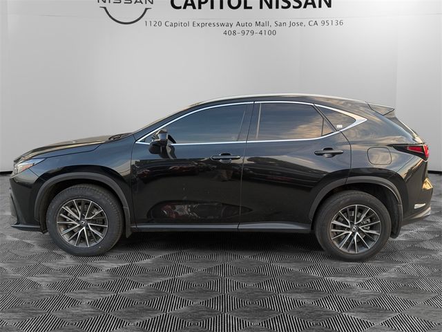 2022 Lexus NX 350