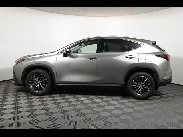 2022 Lexus NX 350