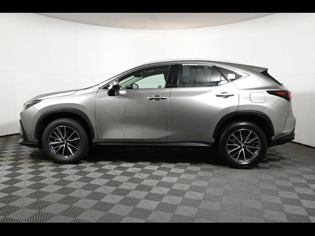 2022 Lexus NX 350