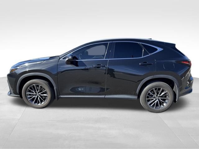 2022 Lexus NX 350