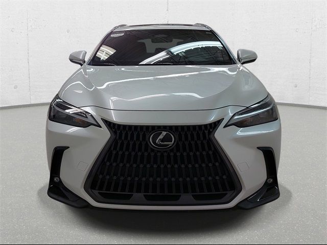 2022 Lexus NX 350