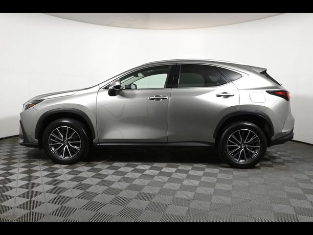 2022 Lexus NX 350