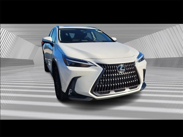 2022 Lexus NX 350 Premium