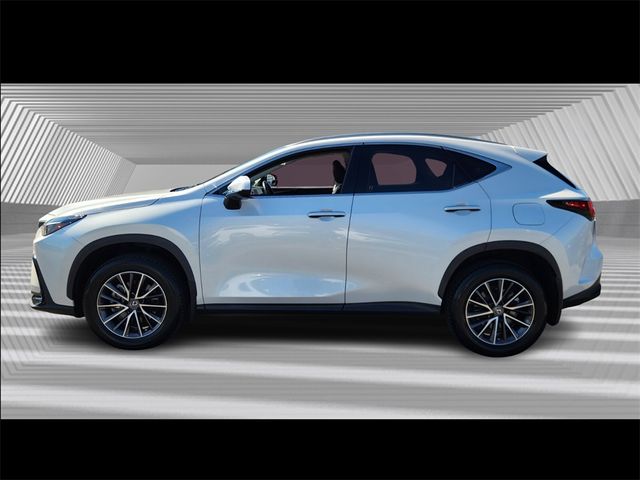 2022 Lexus NX 350 Premium