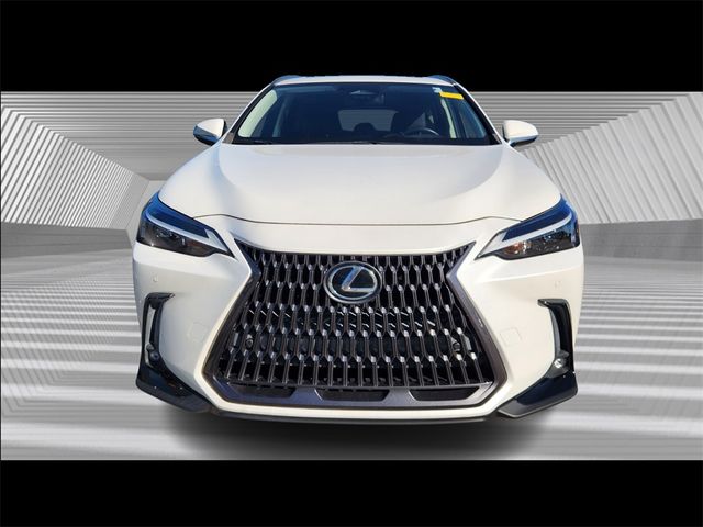 2022 Lexus NX 350 Premium