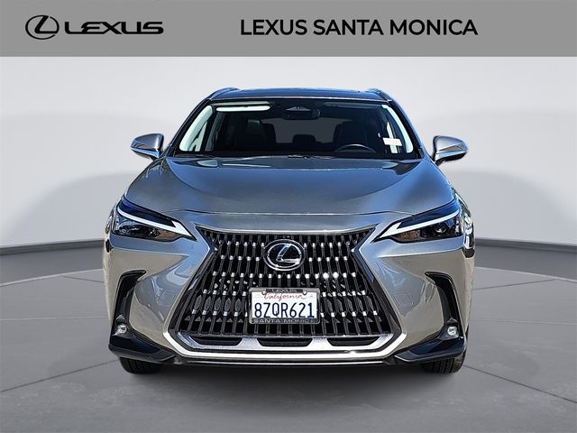 2022 Lexus NX 350