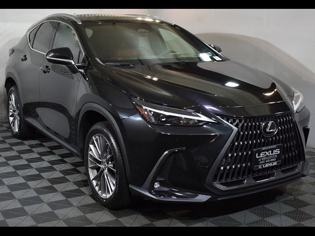 2022 Lexus NX 350 Luxury