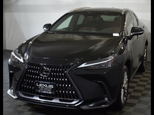 2022 Lexus NX 350 Luxury