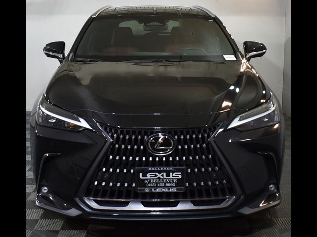 2022 Lexus NX 350 Luxury