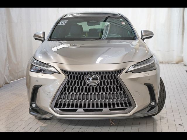 2022 Lexus NX 350 Luxury