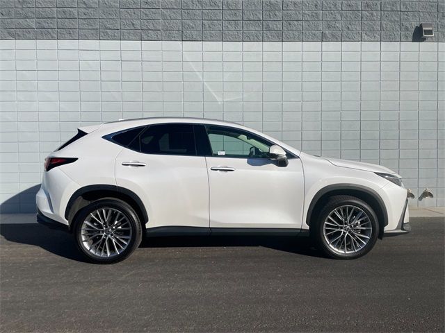 2022 Lexus NX 350 Luxury